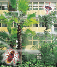 易事立(專業滅蟲)公司 Eselab Pests Control Company